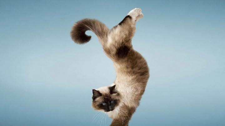 Watch Me Dancing